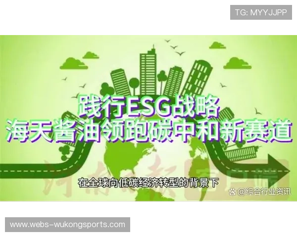 体育材料环保性能突破 推动行业绿色发展